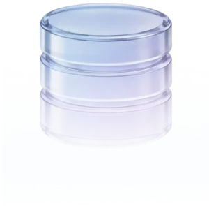 Database